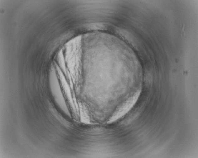 X0000077370402200611171954