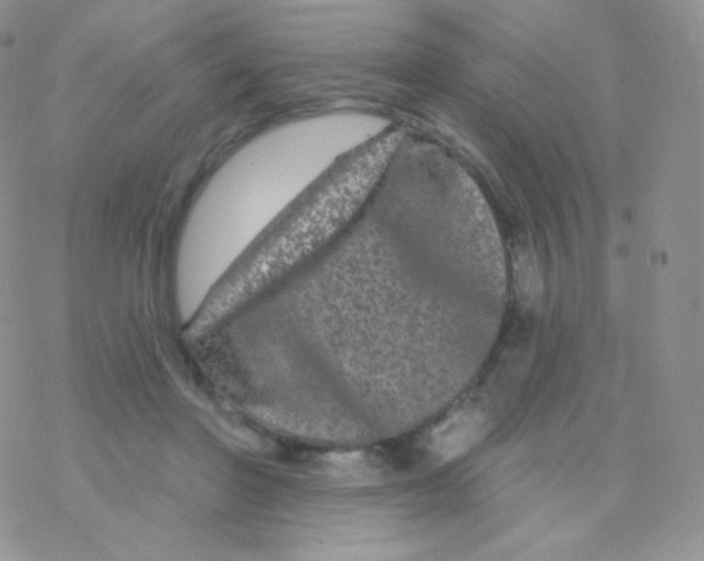 X0000077370406200611171954