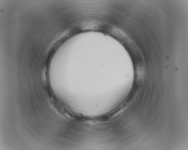 X0000077370408200611171954