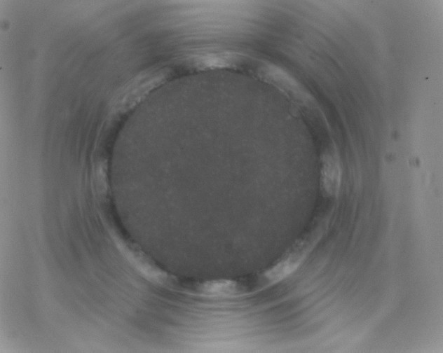 X0000077370410200611171954