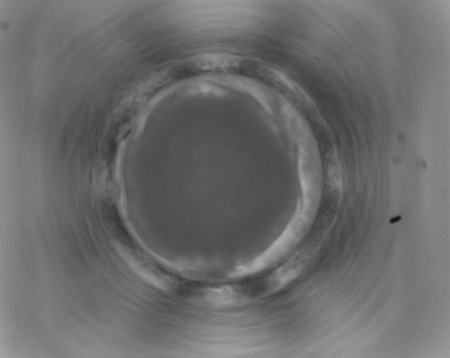 X0000077370411200611171954