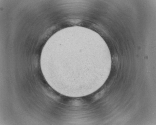 X0000077370412200611171954