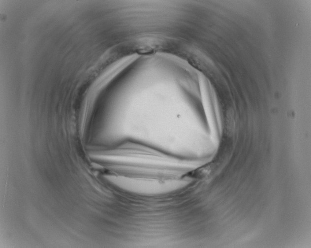 X0000077370413200611171954