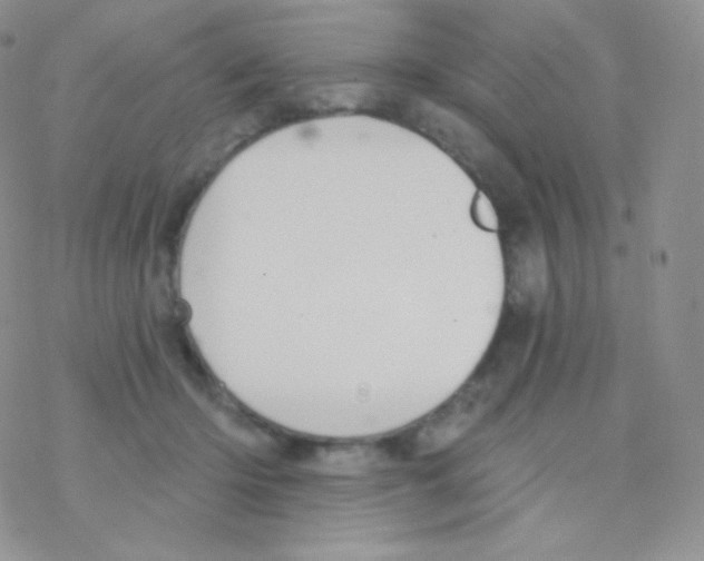 X0000077370414200611171954