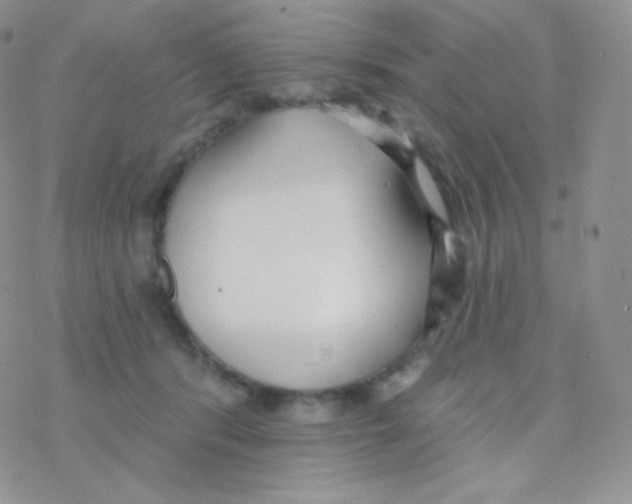 X0000077370416200611171954