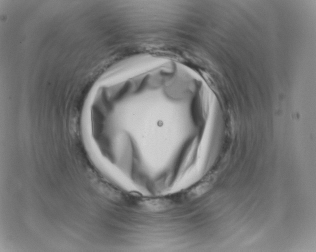 X0000077370417200611171954