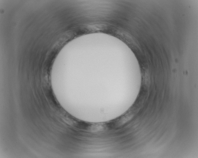 X0000077370418200611171954