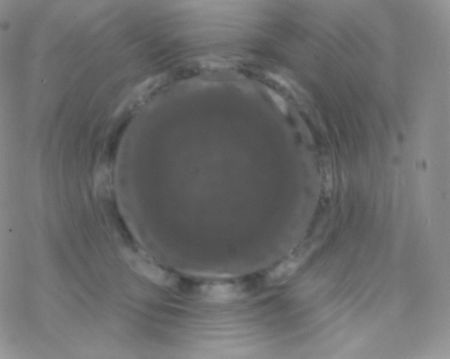 X0000077370419200611171954