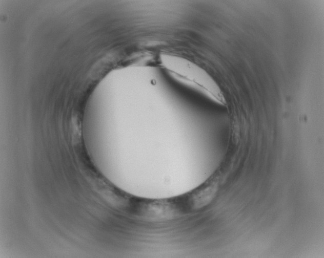 X0000077370420200611171954