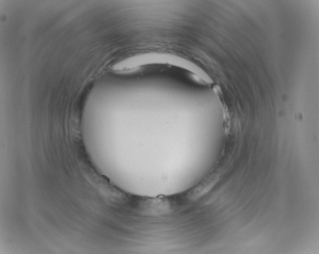 X0000077370421200611171954