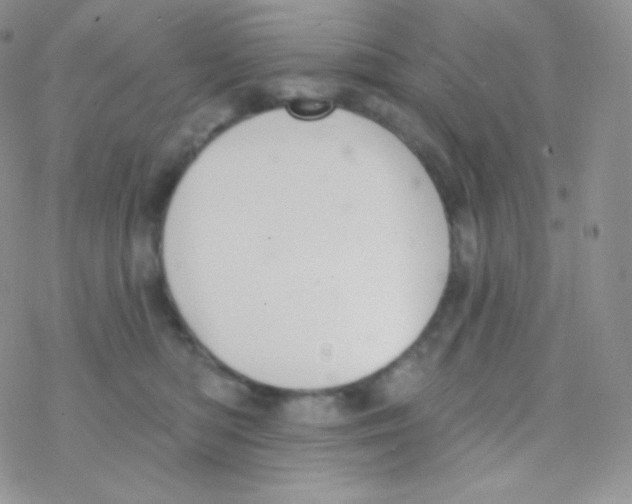 X0000077370422200611171954