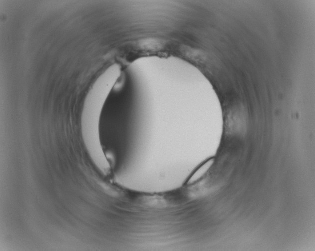 X0000077370424200611171954