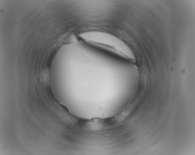 X0000077370425200611171954