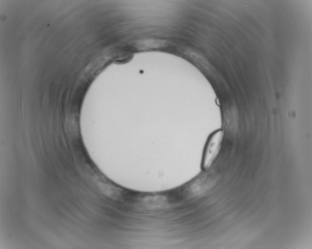 X0000077370426200611171954