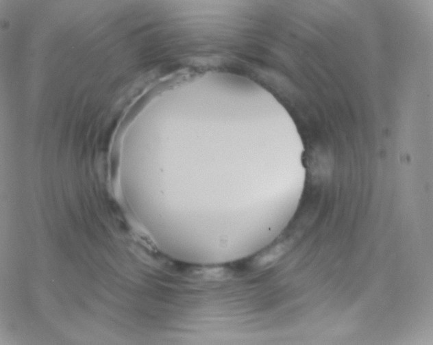 X0000077370428200611171954