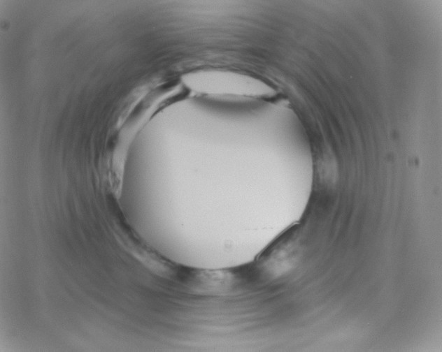 X0000077370429200611171953