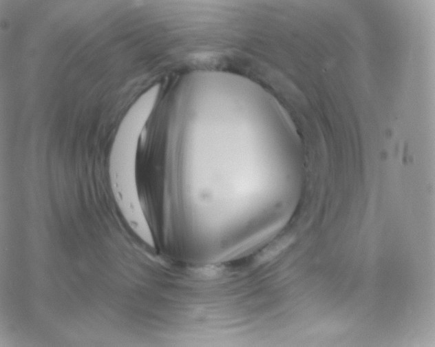 X0000077370432200611171953