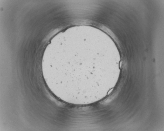 X0000077370433200611171953