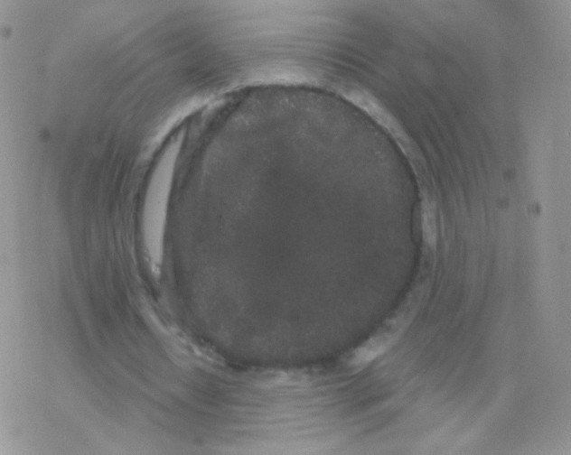 X0000077370434200611171953