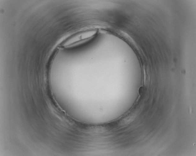 X0000077370435200611171953