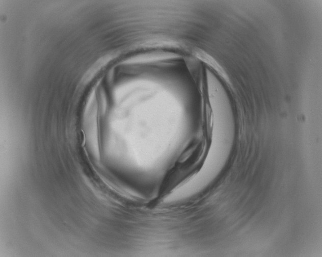 X0000077370436200611171953