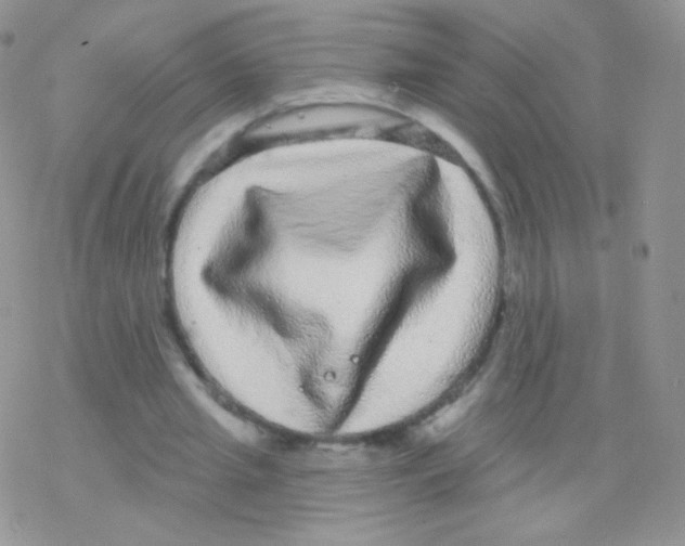 X0000077370437200611171953