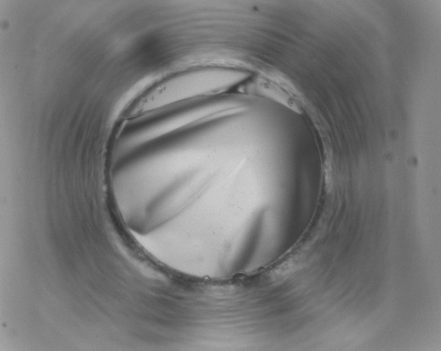 X0000077370438200611171953