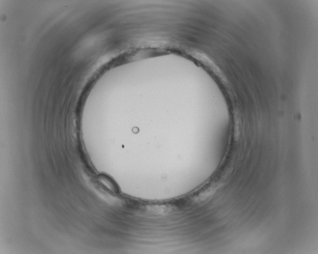 X0000077370439200611171953