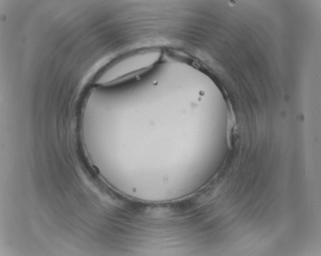 X0000077370440200611171953