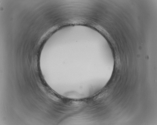 X0000077370442200611171953