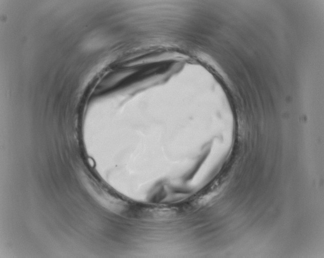 X0000077370443200611171953