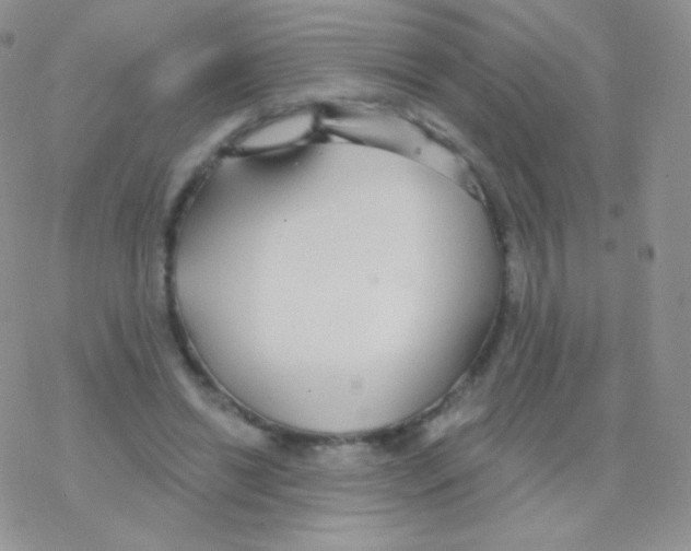 X0000077370446200611171953