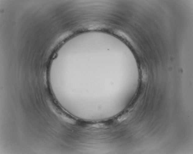 X0000077370447200611171953