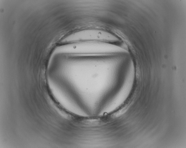 X0000077370449200611171953