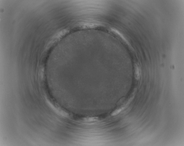 X0000077370451200611171953