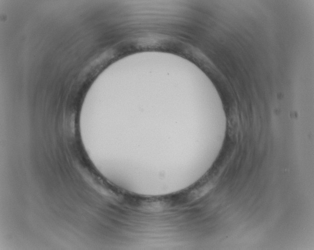 X0000077370454200611171953