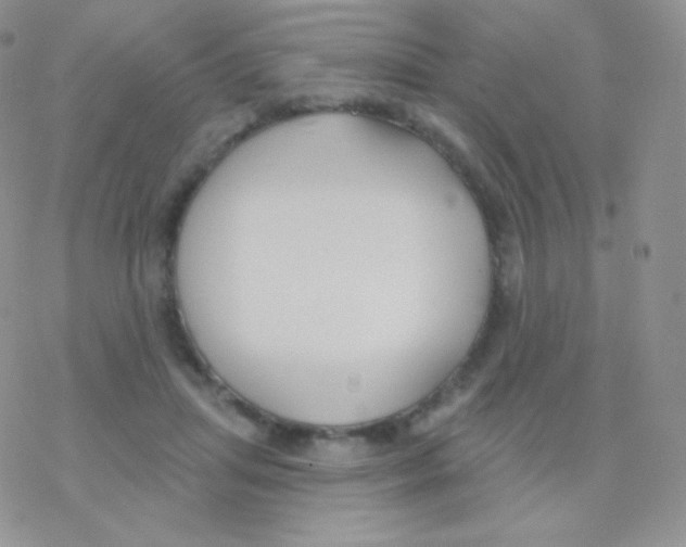 X0000077370455200611171953