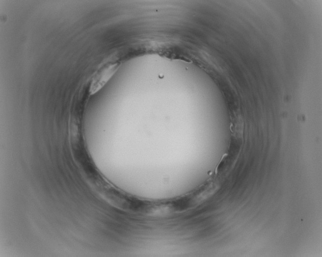 X0000077370456200611171953