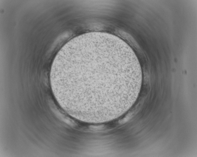 X0000077370457200611171953