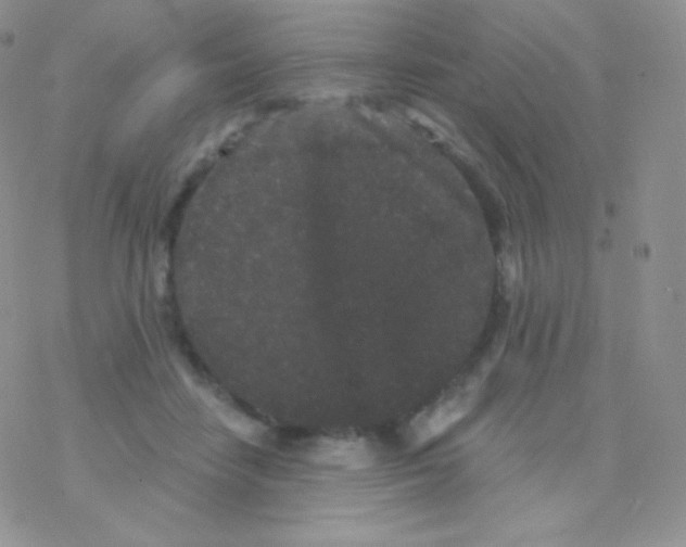 X0000077370458200611171953