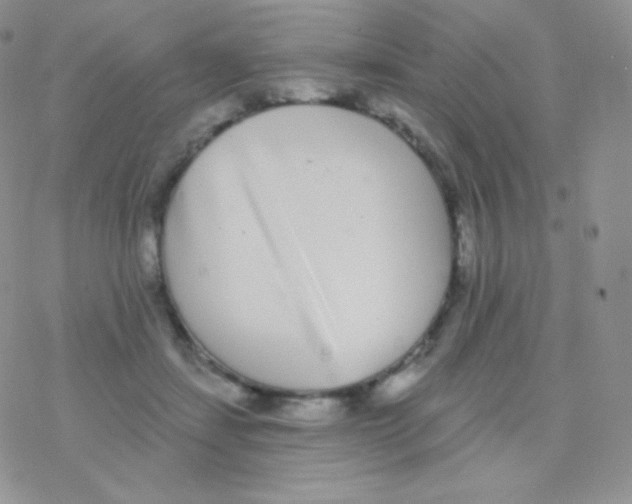 X0000077370459200611171953