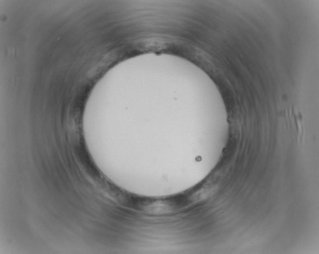 X0000077370460200611171953