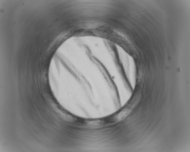 X0000077370461200611171953