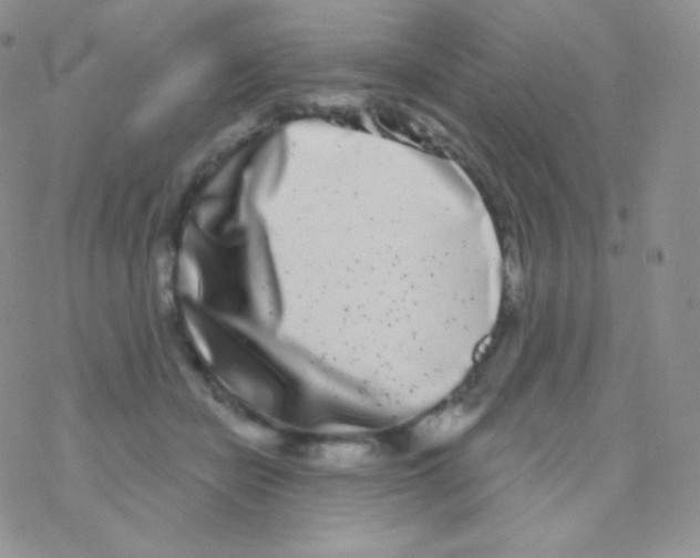 X0000077370462200611171953