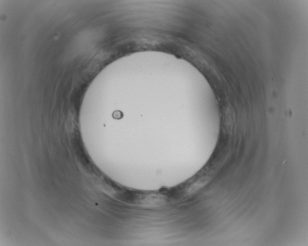 X0000077370463200611171953