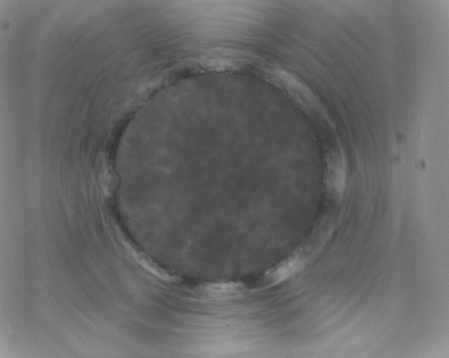 X0000077370465200611171953