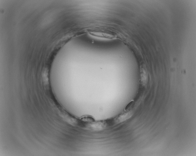 X0000077370466200611171953