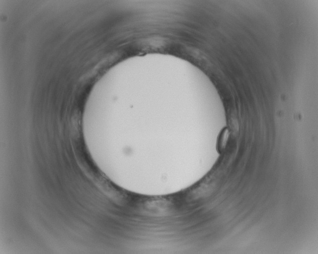 X0000077370468200611171953