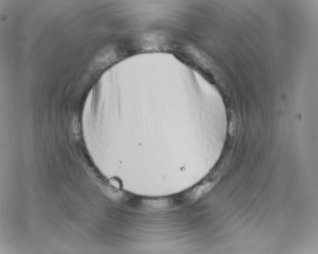 X0000077370469200611171953