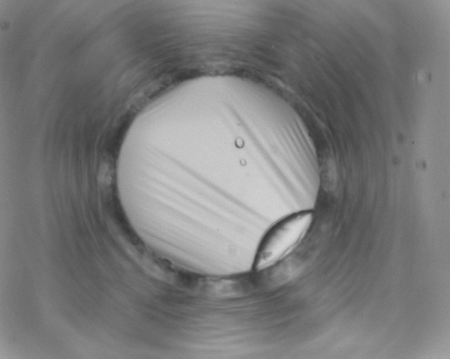 X0000077370472200611171953